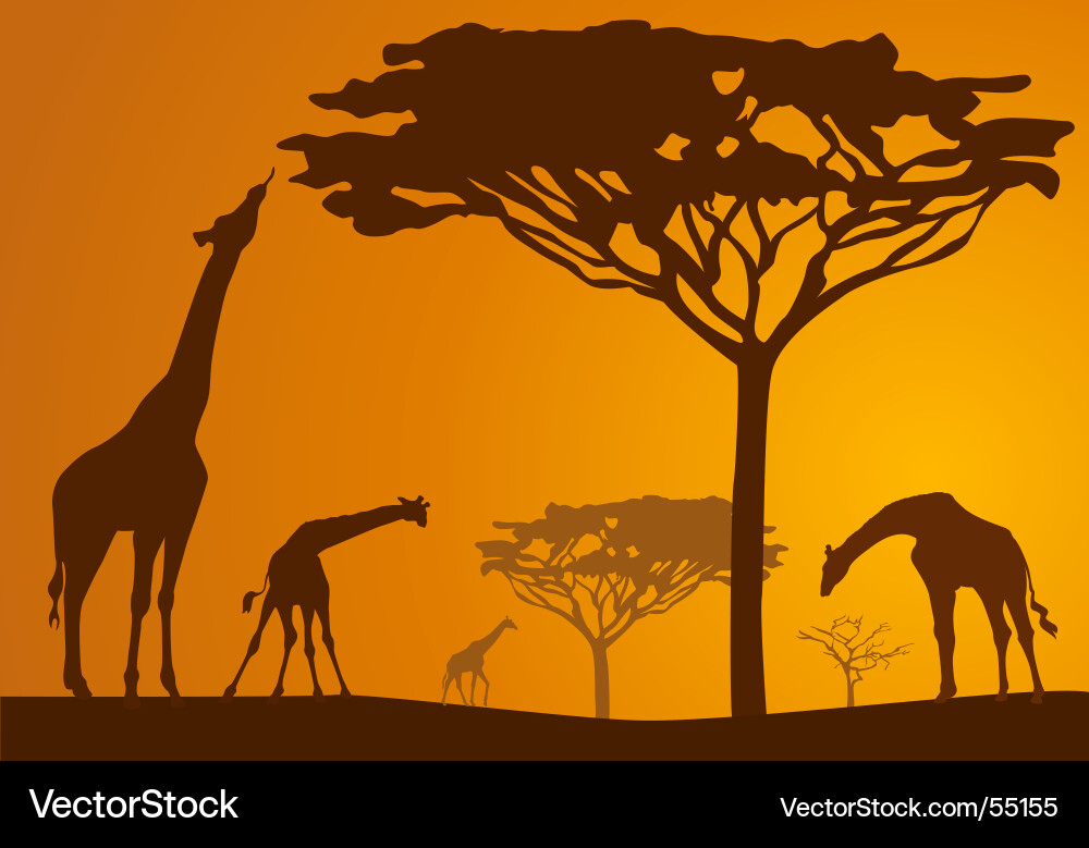 Giraffe Silhouette Safari Vector Image