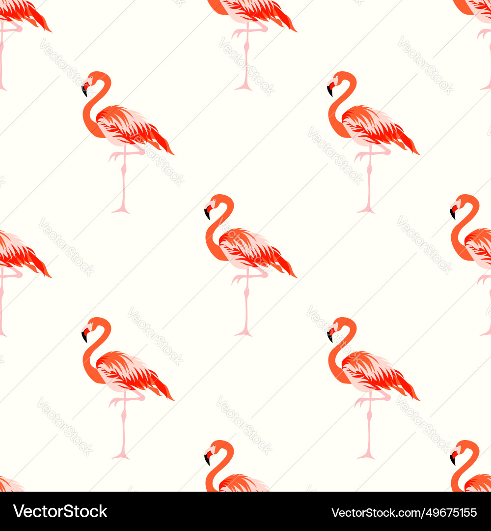 Seamless pattern with flamingo Vector Image