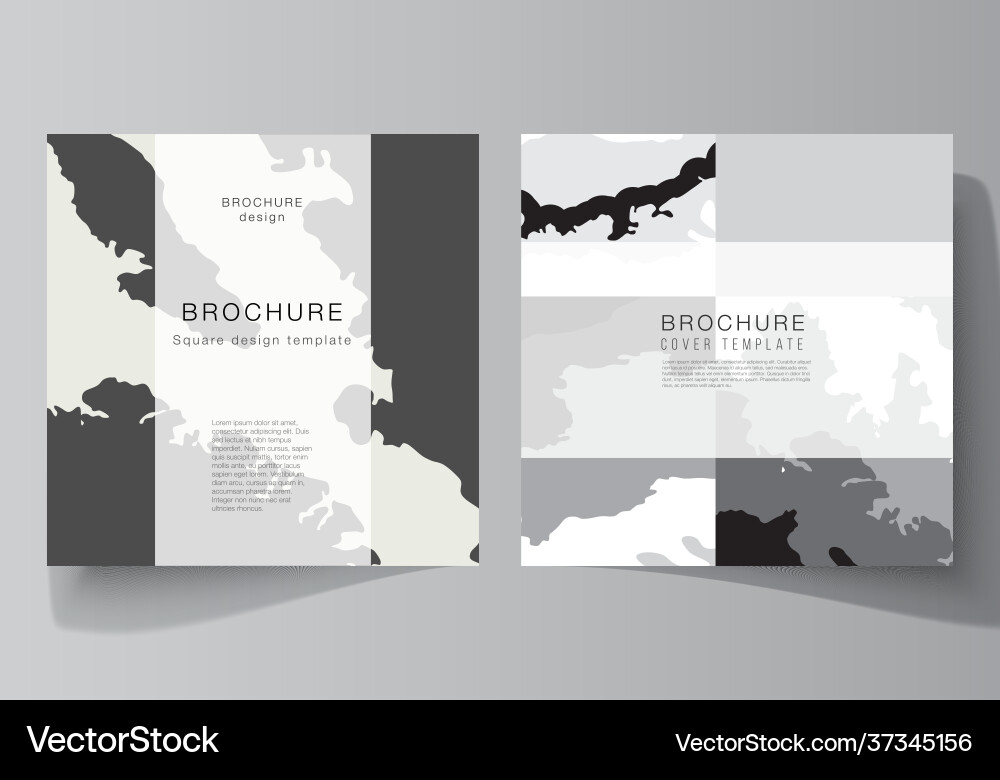 Layout two square format covers design Layout two square format covers design vector image