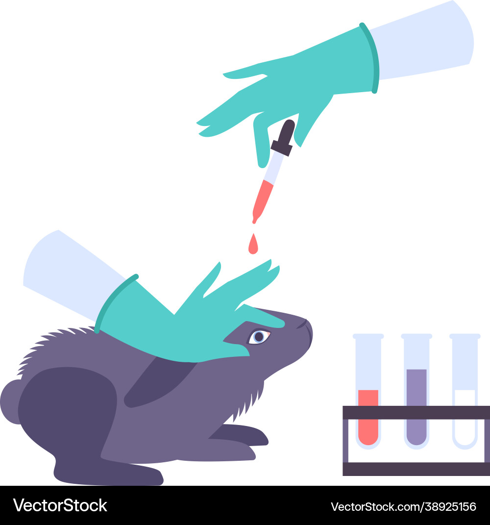 Rabbit Eye Drop Testing Icon vector image