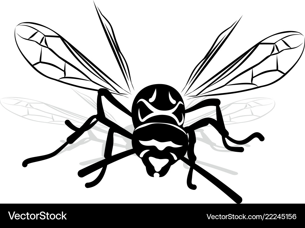Sketch of wasp Vector Image