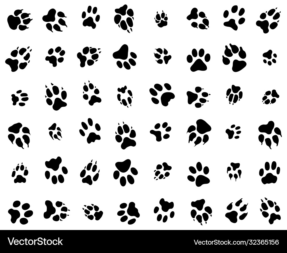 Trace cats and dogs Vector Image