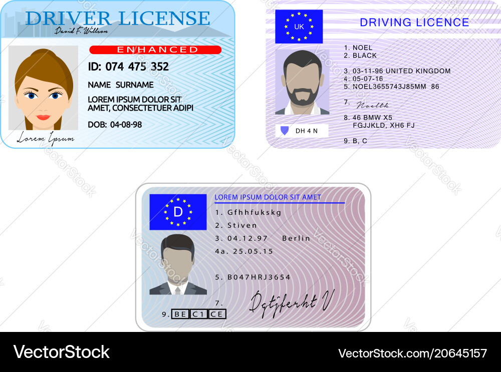 Driver license banner horizontal set flat style Driver license banner horizontal set flat style vector image