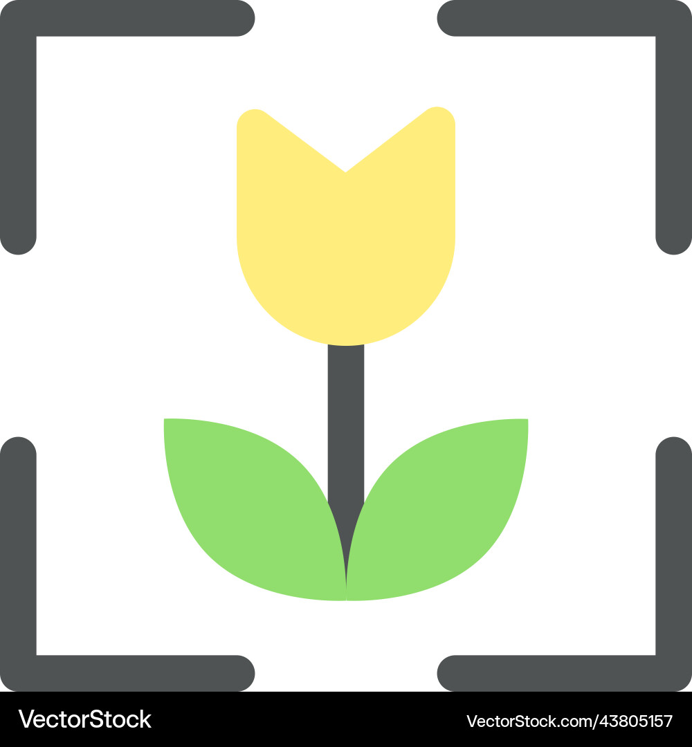 Macro photo mode flat color ui icon Macro photo mode flat color ui icon vector image