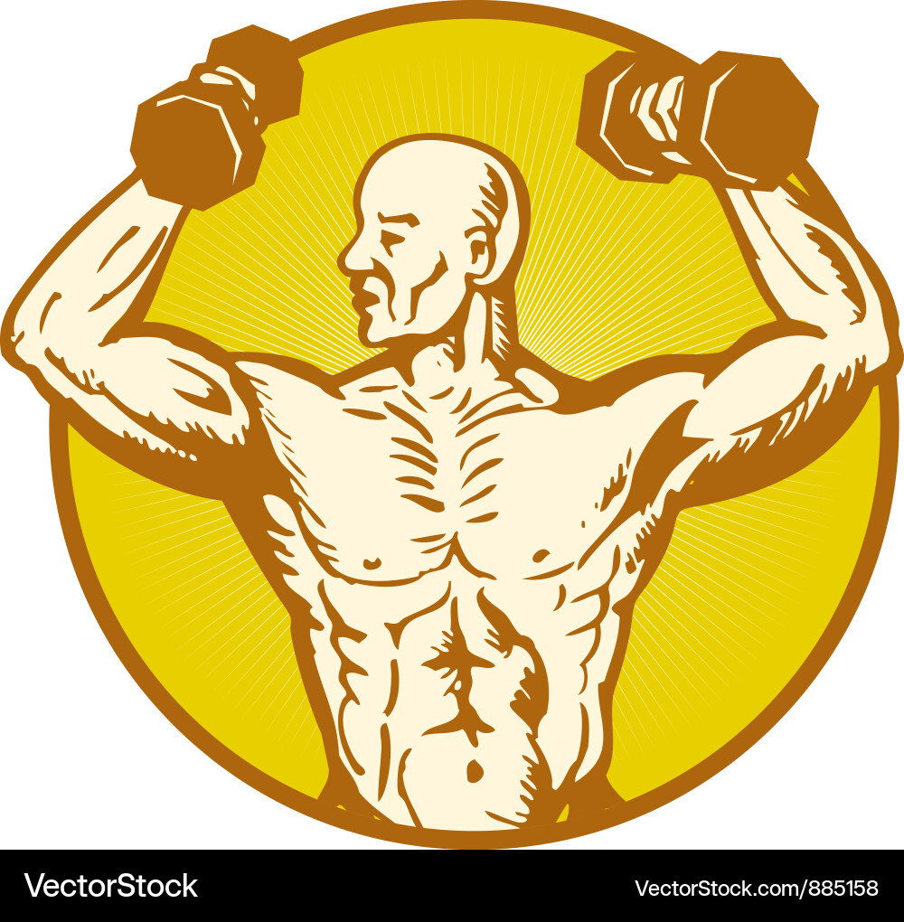 Männliche menschliche Anatomie Bodybuilder Flexing Muskel Vektorbild