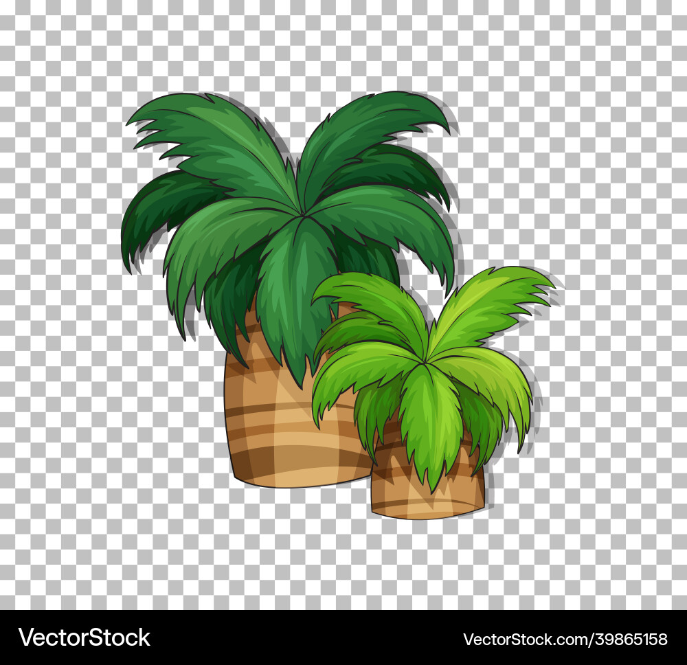 Palm tree on transparent background Palm tree on transparent background vector image