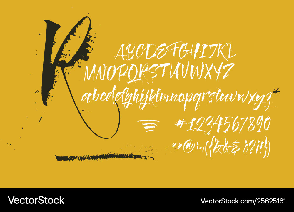 Expressive calligraphic script blots splashes Vector Image