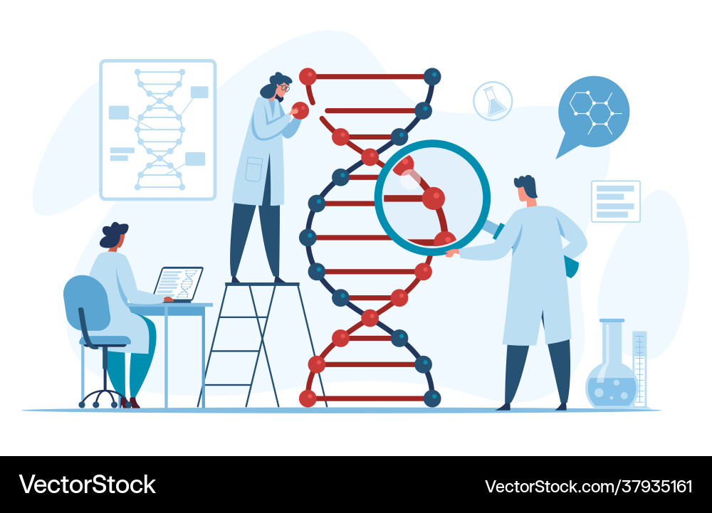Genetic dna research scientists researching Genetic dna research scientists researching vector image