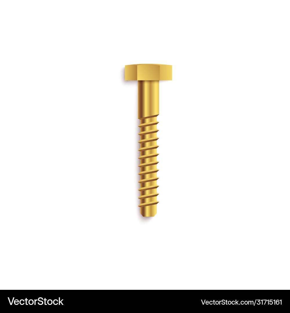 Hardware screw construction element 3d Royalty Free Vector