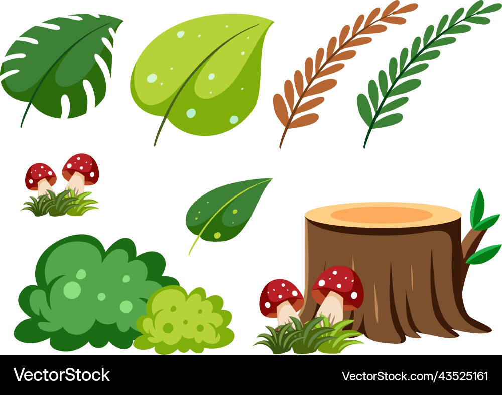 Set of nature objects Vector Image