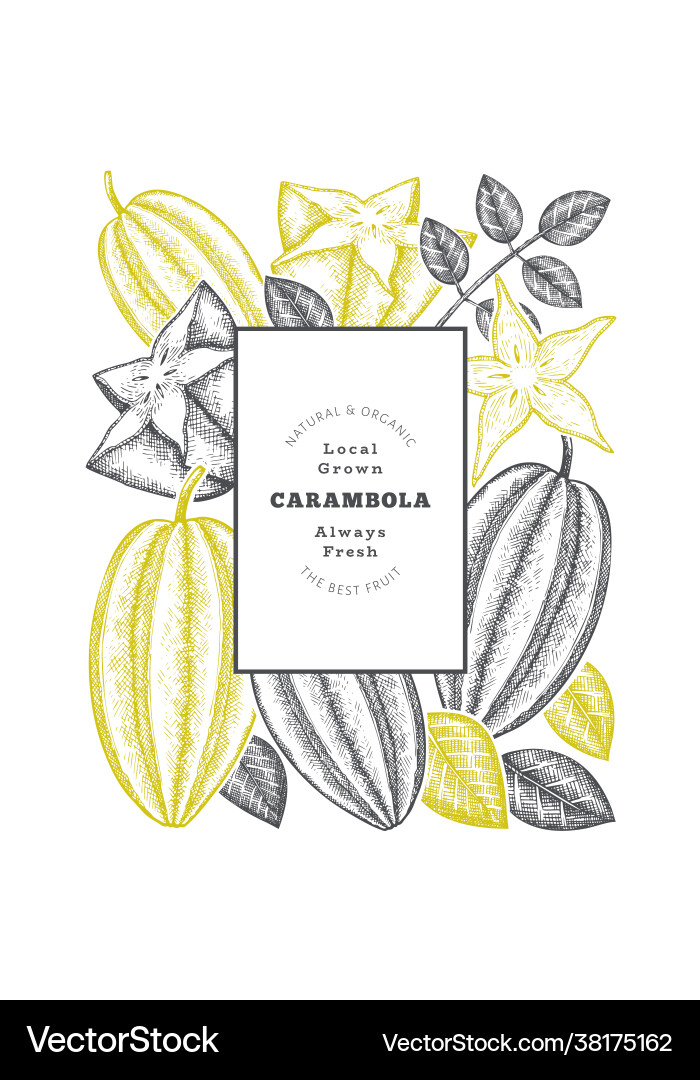 Hand gezeichnete Skizze Stil Carambola Banner bio Hand gezeichnete Skizze Stil Carambola Banner bio vektorbild