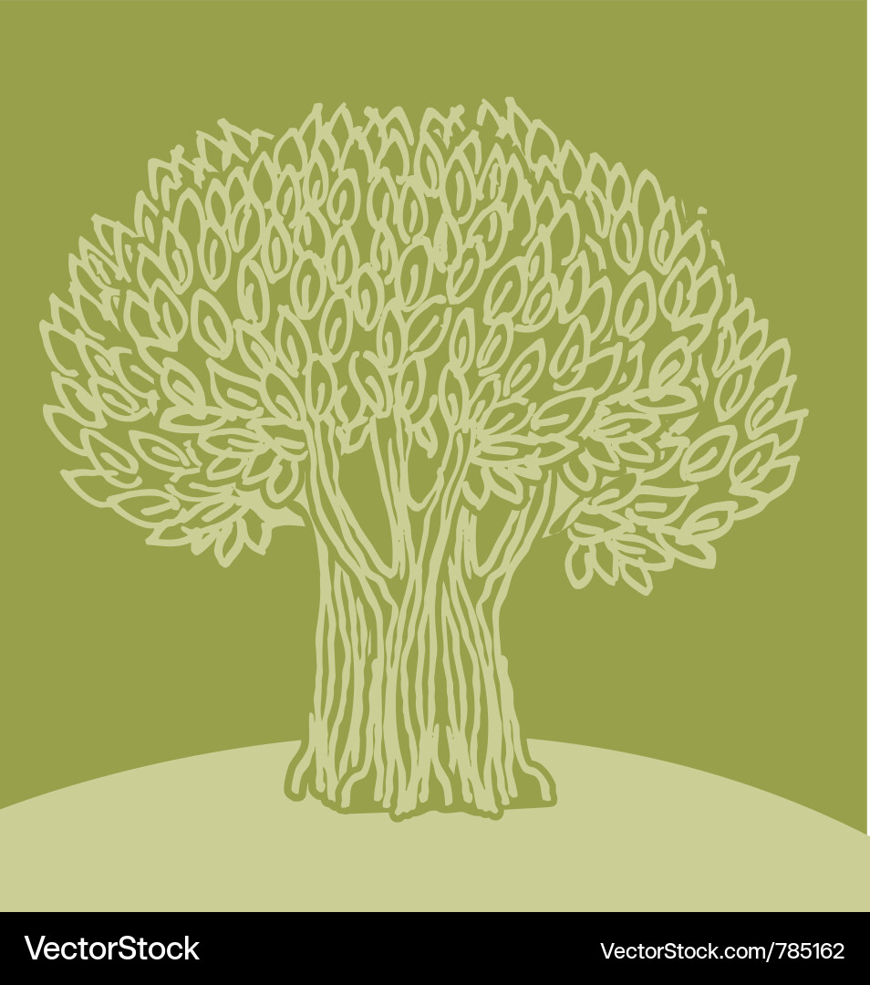 Olive Branch Tree Vector Image