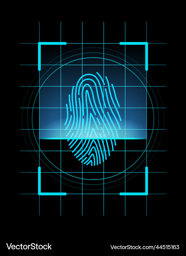 Fingerprint identification scan Fingerprint identification scan Vector Image