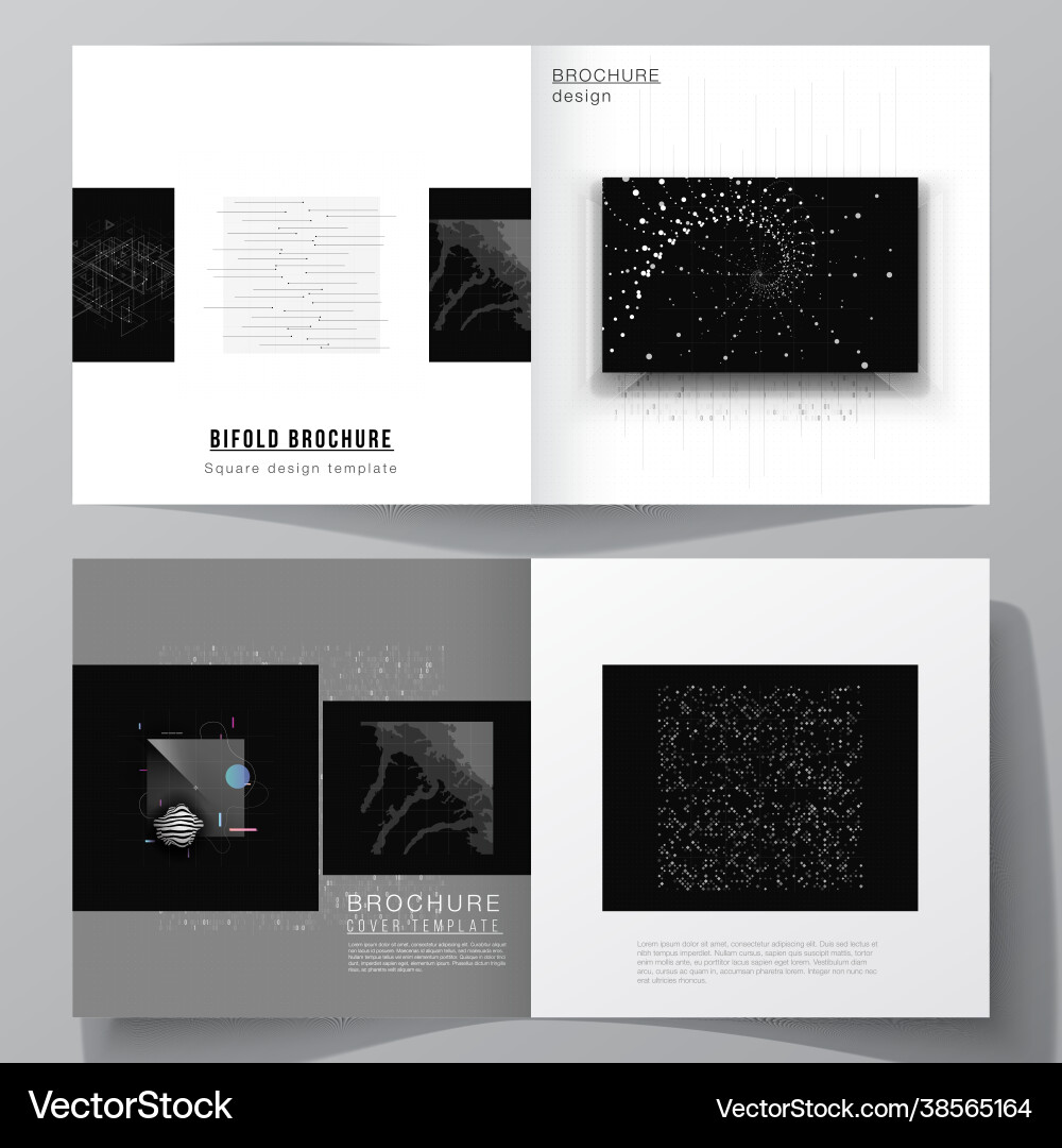 Layout two covers templates for square Vector Image
