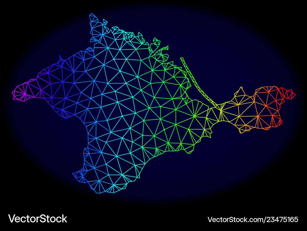 Polygonal network spectrum mesh map Polygonal network spectrum mesh map Vector Image