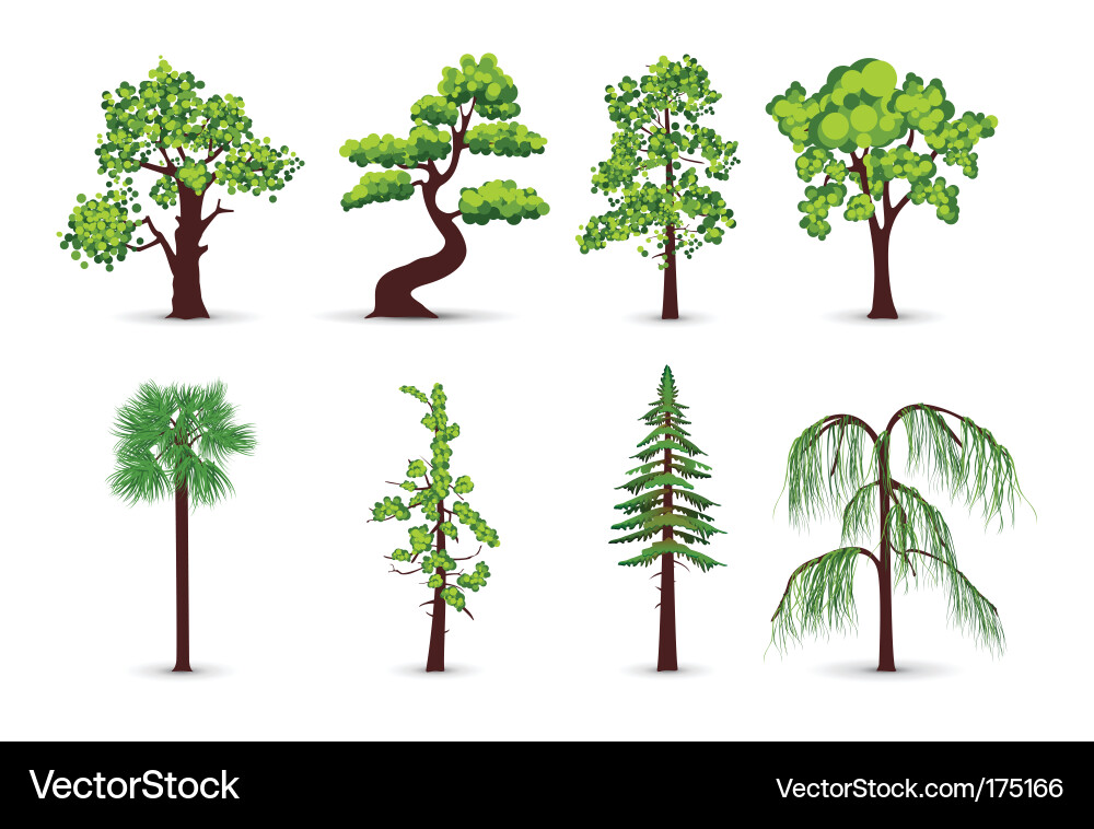 Detailed Tree Icons Collection vector image