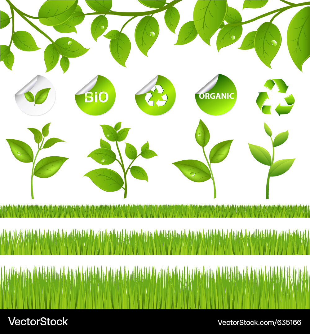 Green Leaf Nature Set Royalty Free Vector Image