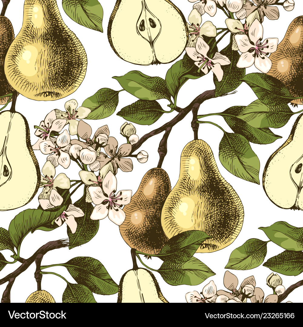 Hand Drawn Pear Branch Pattern vector image