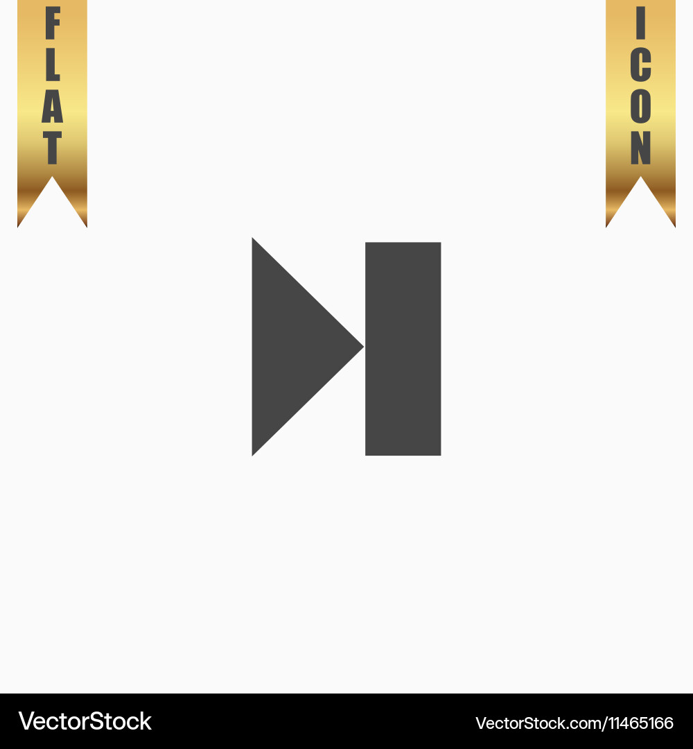 Next track web icon media player Vector Image
