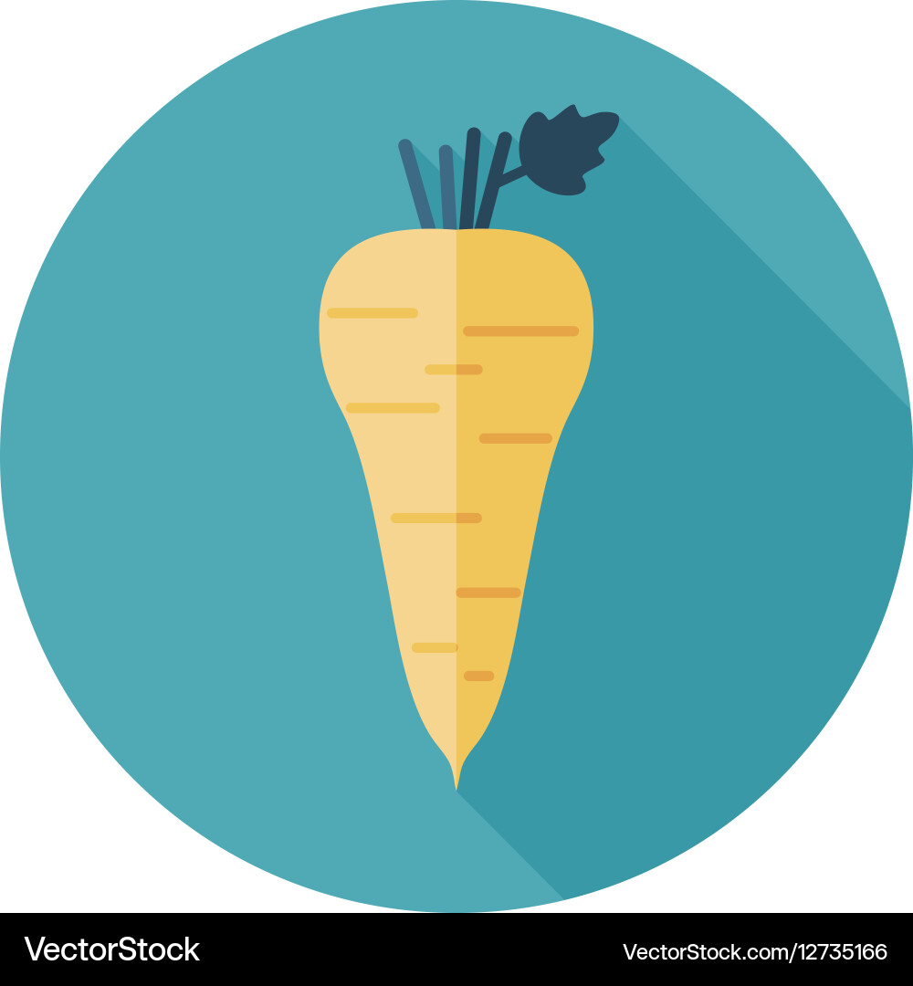 Parsnip root flat icon vegetable Vector Image