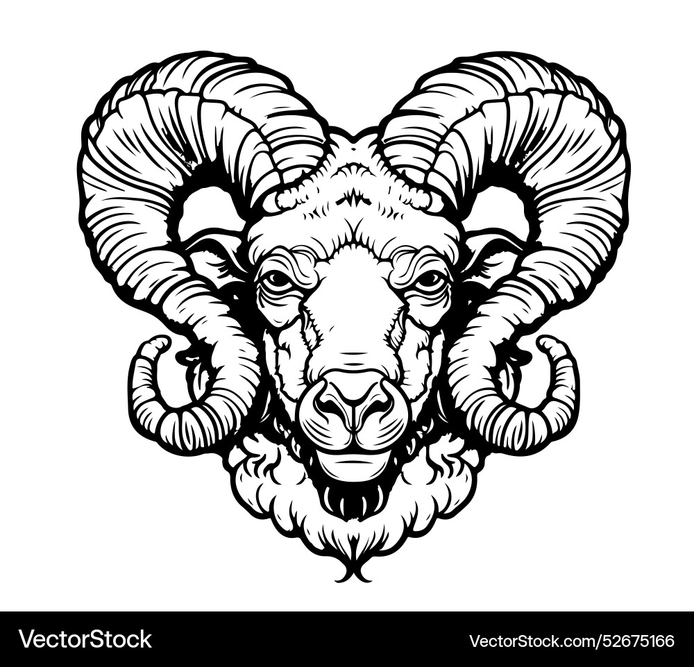 Widder skizzieren hand gezeichnet in doodle style horoscope Widder skizzieren hand gezeichnet in doodle style horoscope vektorbild