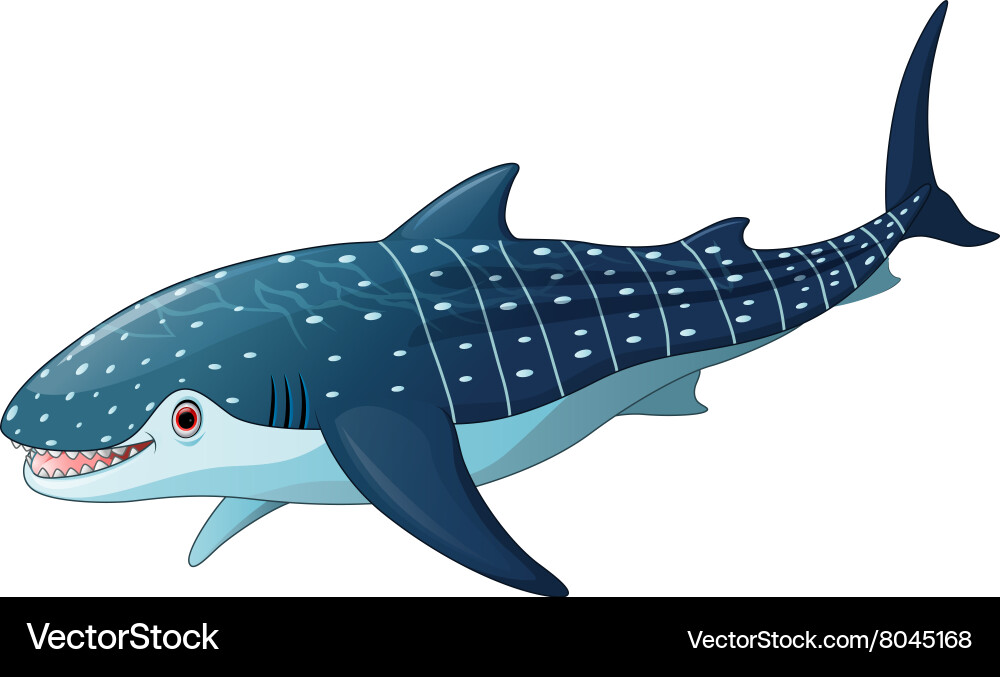 Whaleshark Cartoon vector image