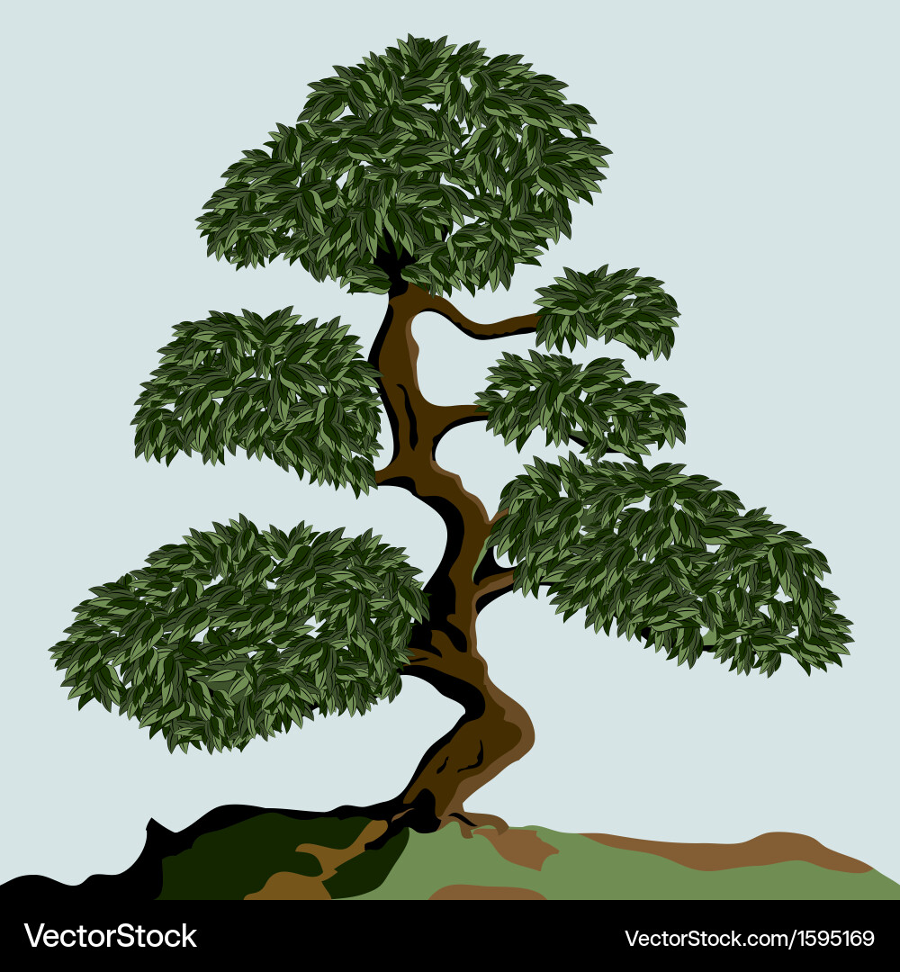 Tree Vector Image