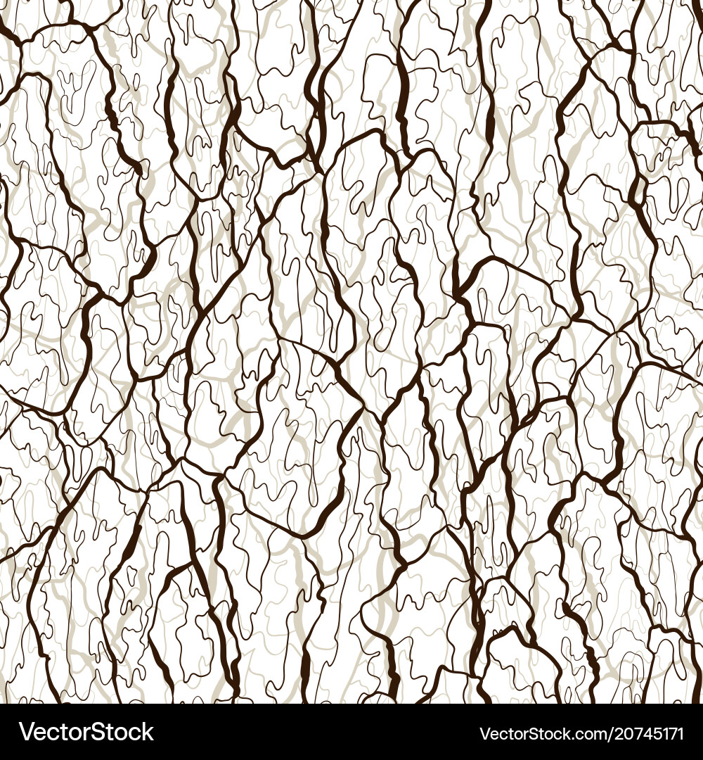 Rustic Bark Texture Pattern Vector Image