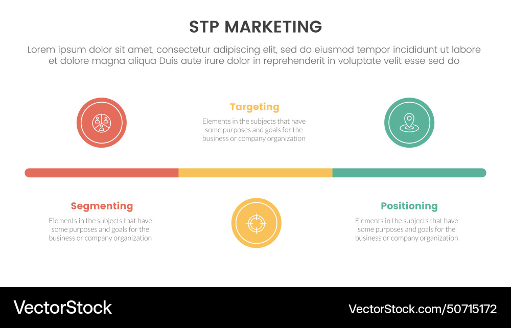 Stp marketing strategy model for segmentation Vector Image