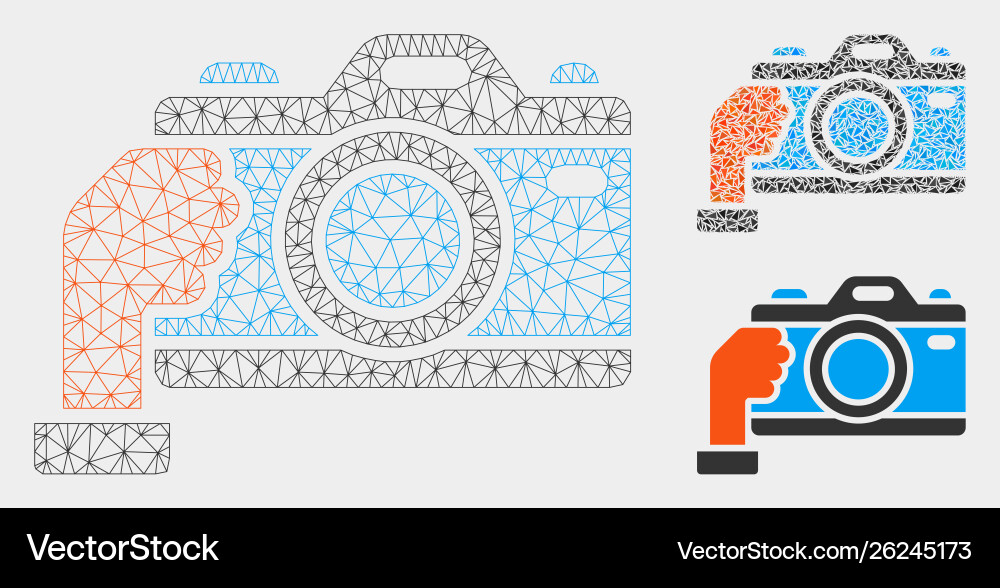 Hold camera mesh network model and triangle Vector Image