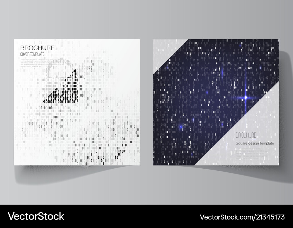 Minimal layout of two square format Vector Image