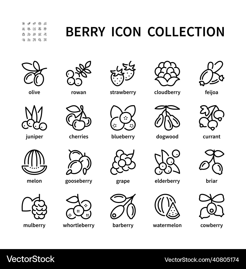 Berry simple set of linear icons isolated Berry simple set of linear icons isolated Vector Image