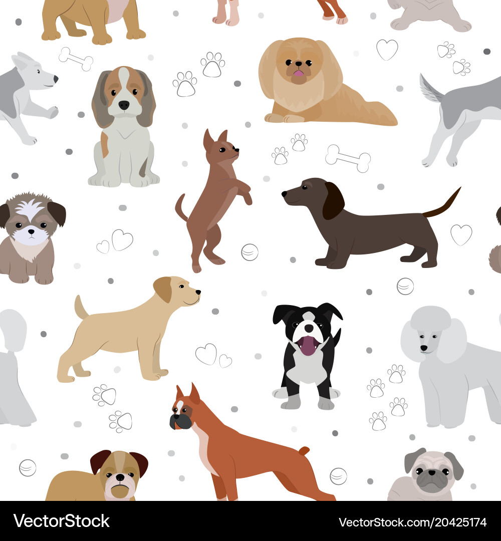 Dog cute cartoon puppy home Vector Image