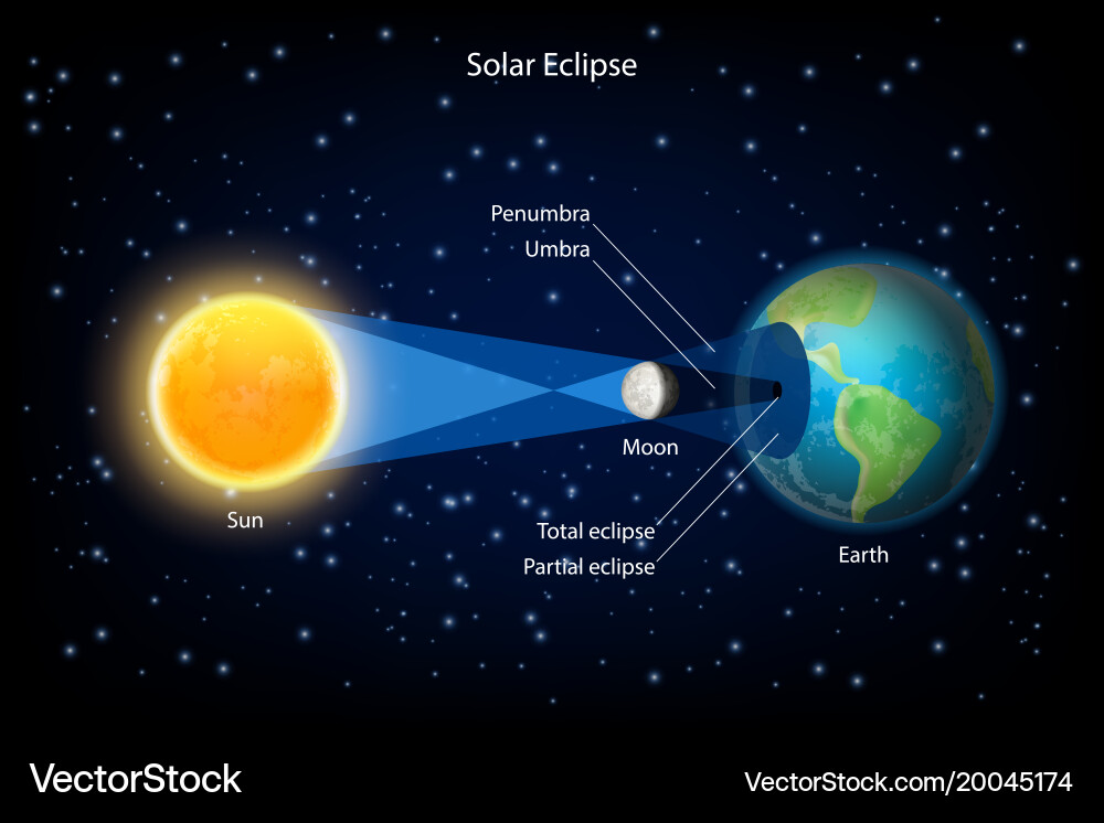 Solar Eclipse Phenomenon vector image