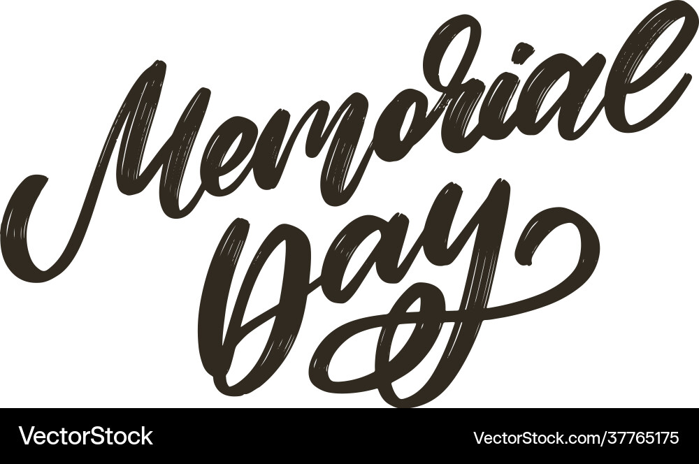 Happy memorial day - stars and stripes letter vector image