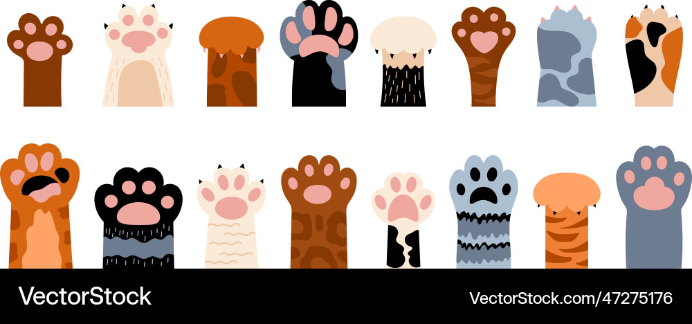 Cartoon cat foots different sweet kitten paws Cartoon cat foots different sweet kitten paws vector image