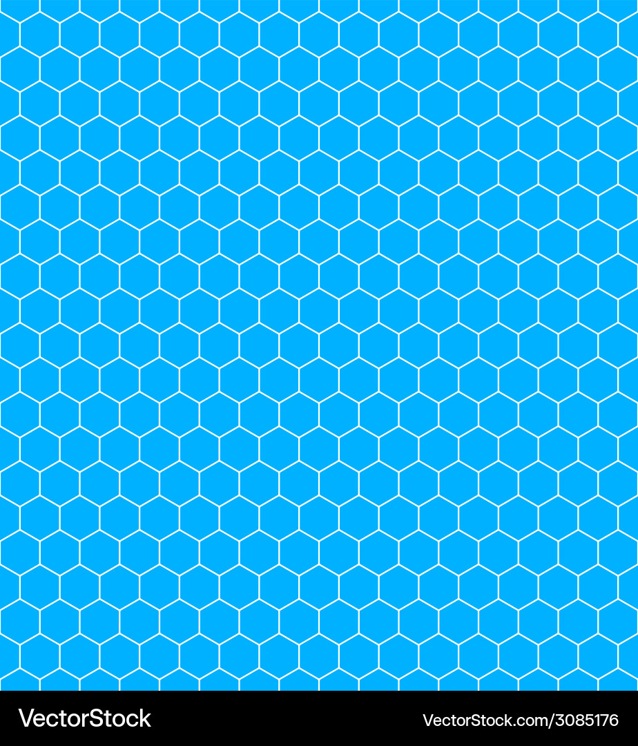 Hexagonal Net Pattern vector image