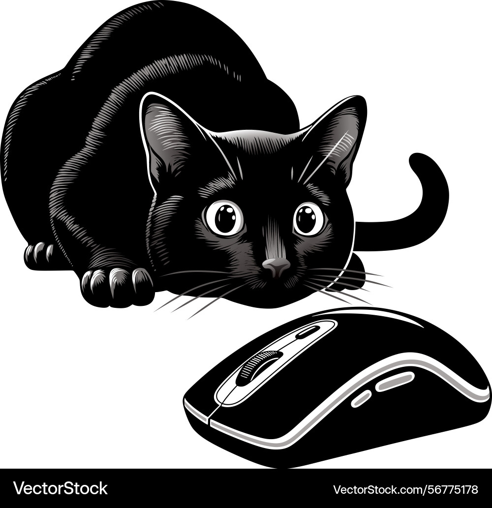 Black cat hunts computer mouse Vector Image