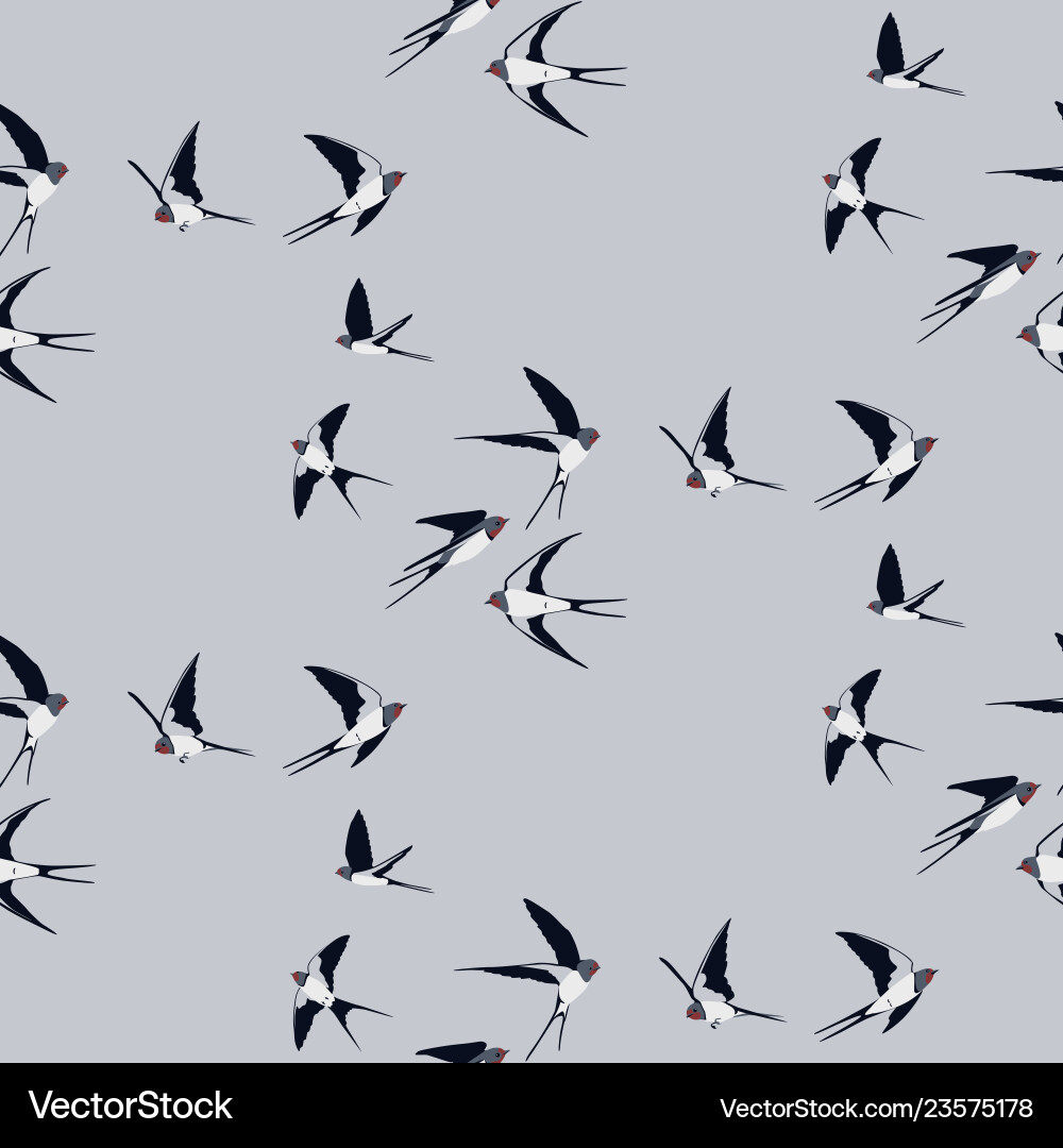 Swallow Bird Pattern vector image