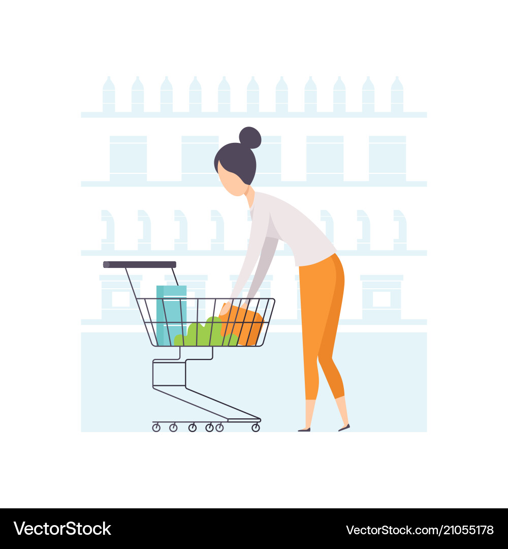 Woman Shopping Cart Vector Image