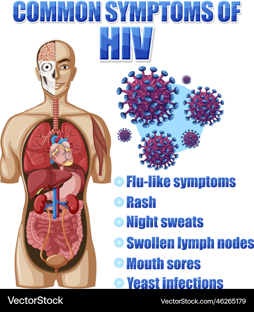 Informative poster of common symptoms hiv vector image