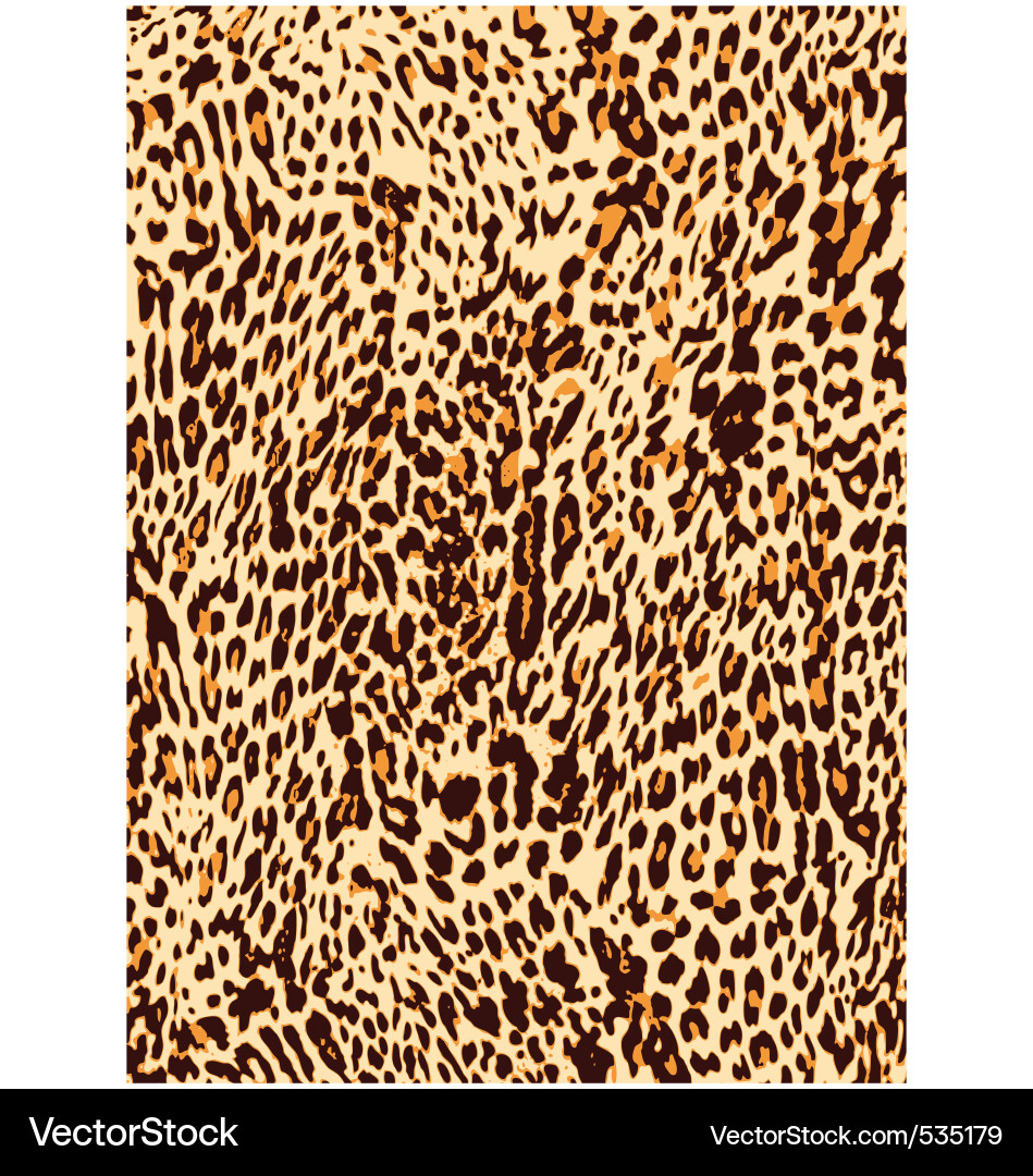 Leopard Print Pattern Vector Image