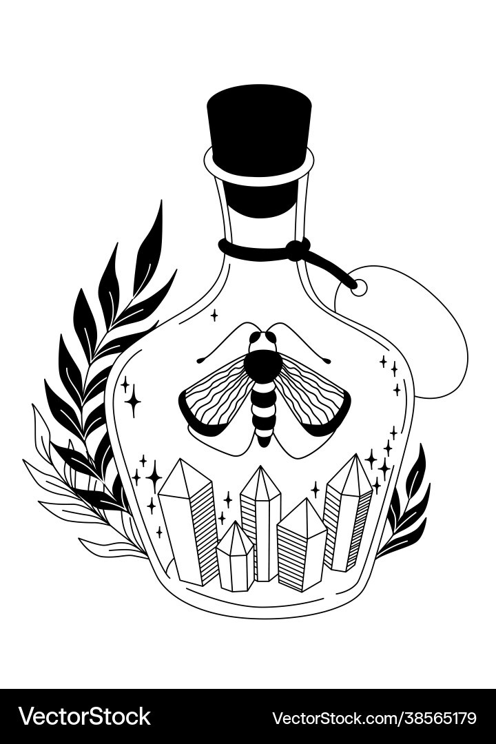 Magic elixir Magic elixir Vector Image