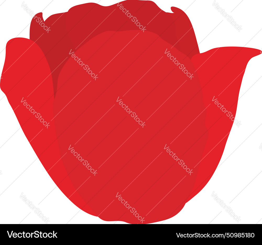 Spring tulip bud element Spring tulip bud element vector image
