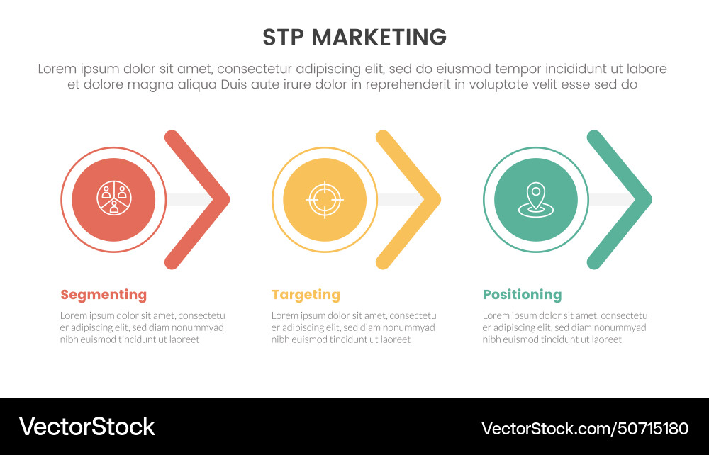 Stp marketing strategy model for segmentation Vector Image