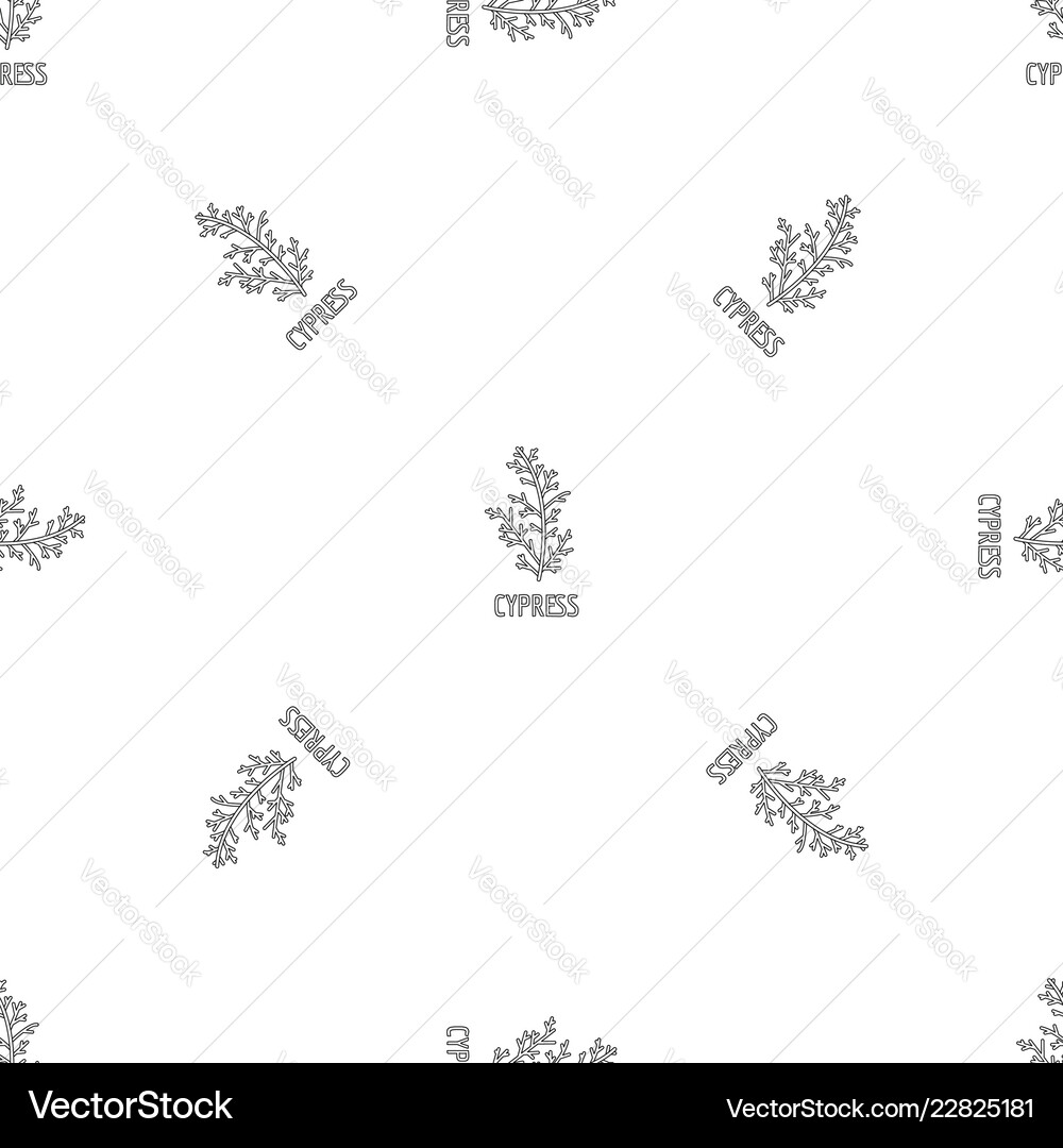 Cypress leaf pattern seamless vector image