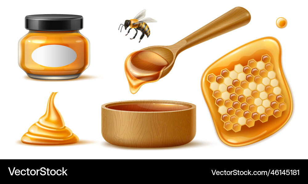 Realistic honey sweet healthy product natural vector image