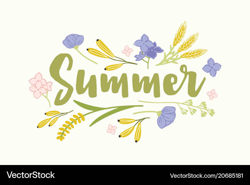 Summer word written with elegant cursive font Summer word written with elegant cursive font vector image