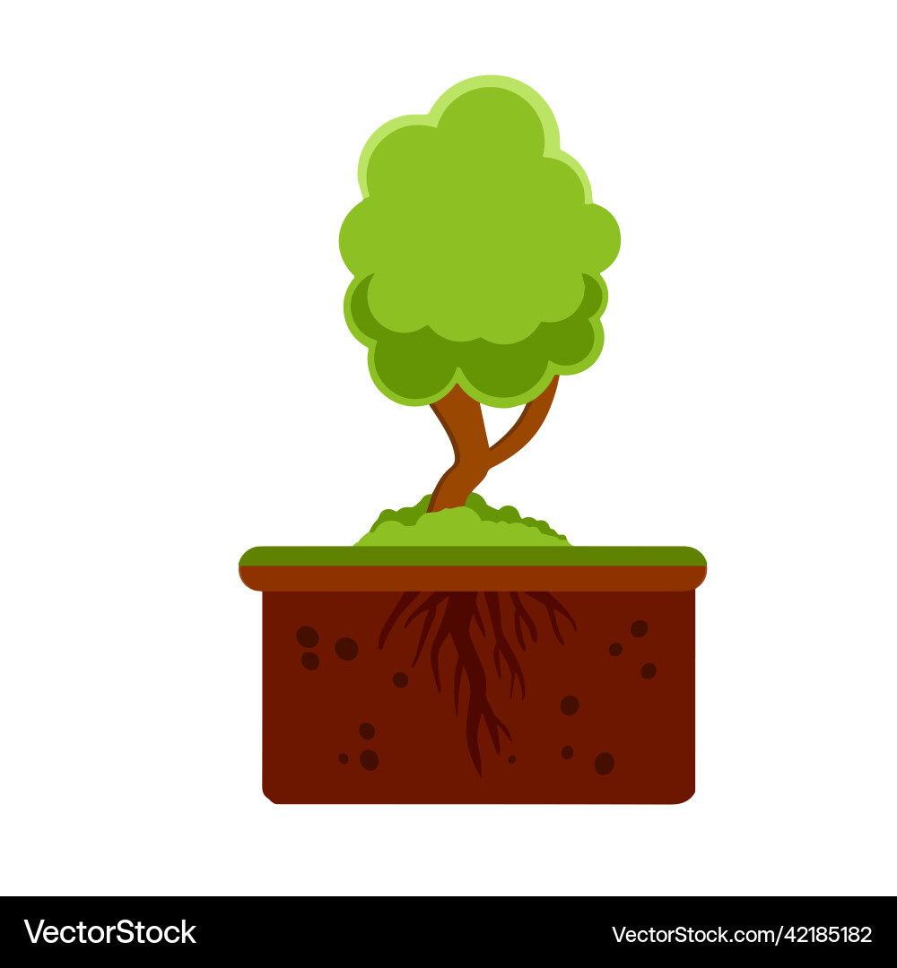 Root system of tree layer earth and soil Root system of tree layer earth and soil Vector Image