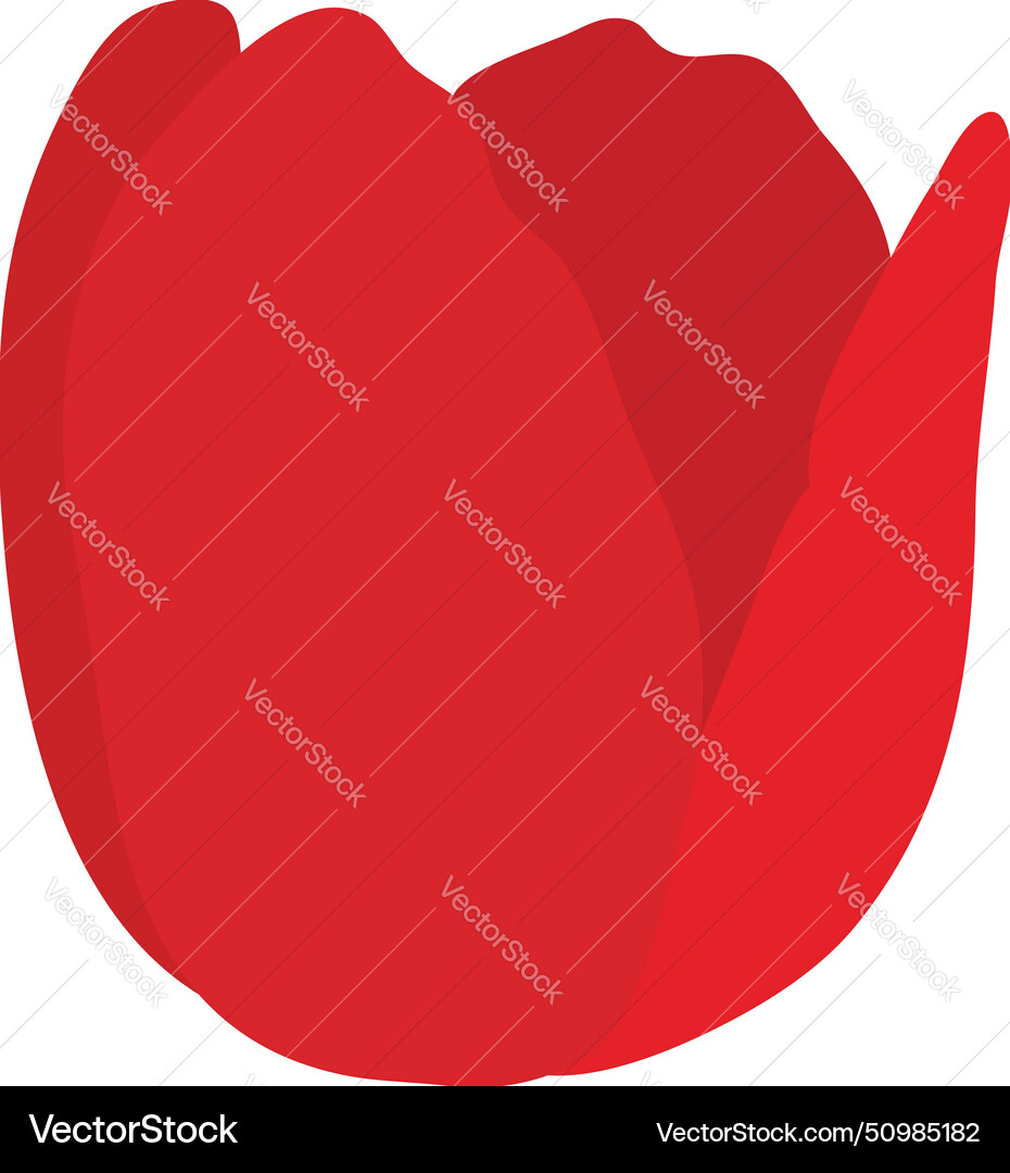 Spring tulip bud element Spring tulip bud element vector image
